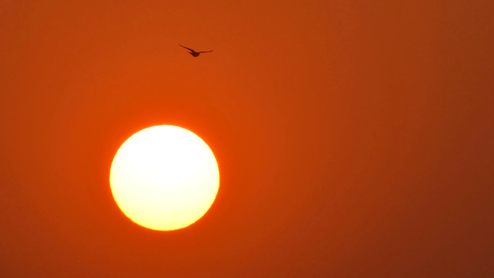 M88 link mới nhất 2026-06-26, đăng ký, nạp rút và link mới nhất cập nhật hôm nay · nhịp bóng đá — cập nhật mới nhất